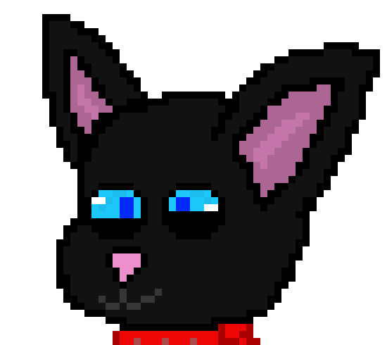 [422fbd] hola como estan todos la verdad yo no se ok?