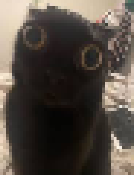 [35dc76] nevermind we back baby