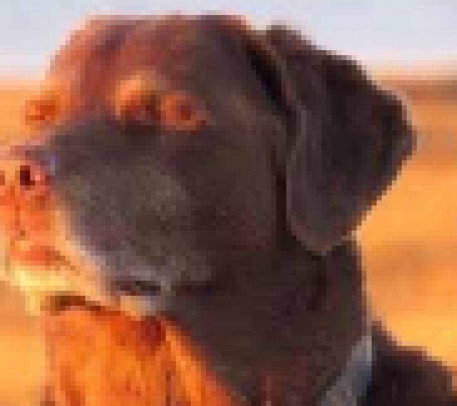 [63ea65] nah use BLEACH nigga KILL that shit