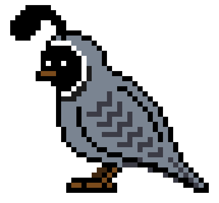 [11aa46] Q is for Quail