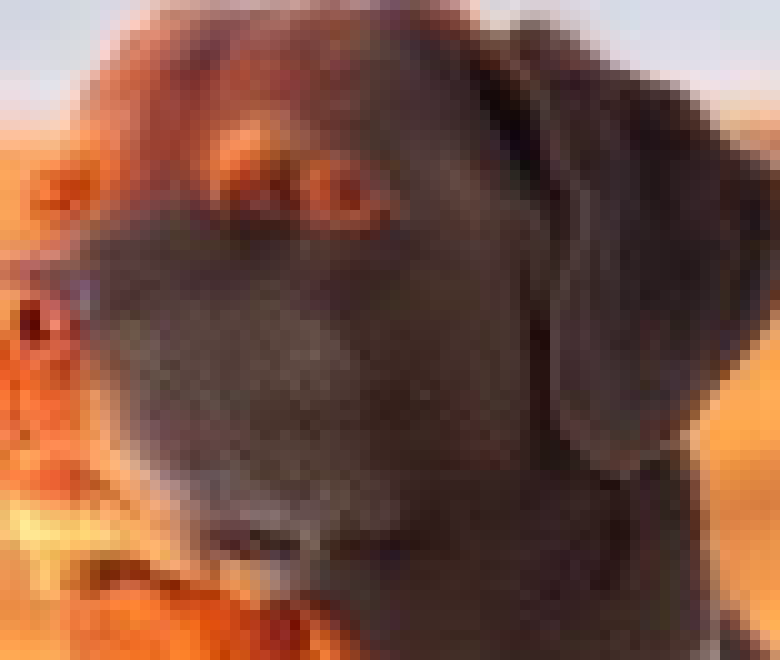 [cc2286] the galaric mon trade