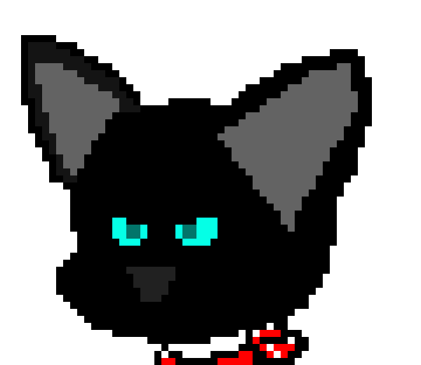 [c8bb2d] im just gonna ignore you idiots