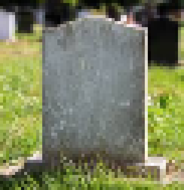 [35dc76] what may this mean wd