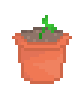 [9664c4] baby plant