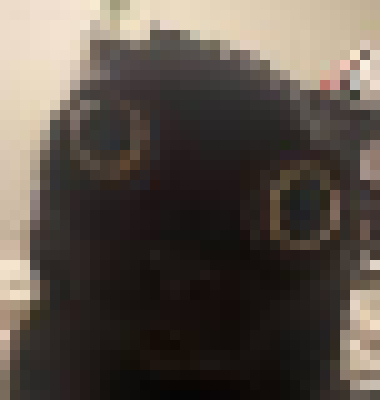 [35dc76] erm uh yeah i mean random pers-