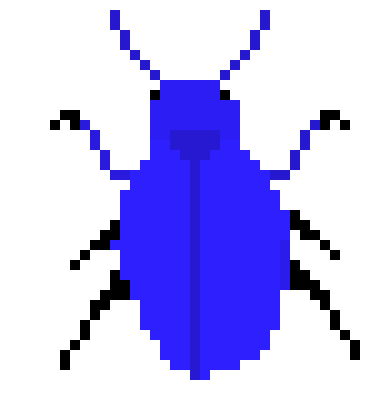 [e764fd] Beetle