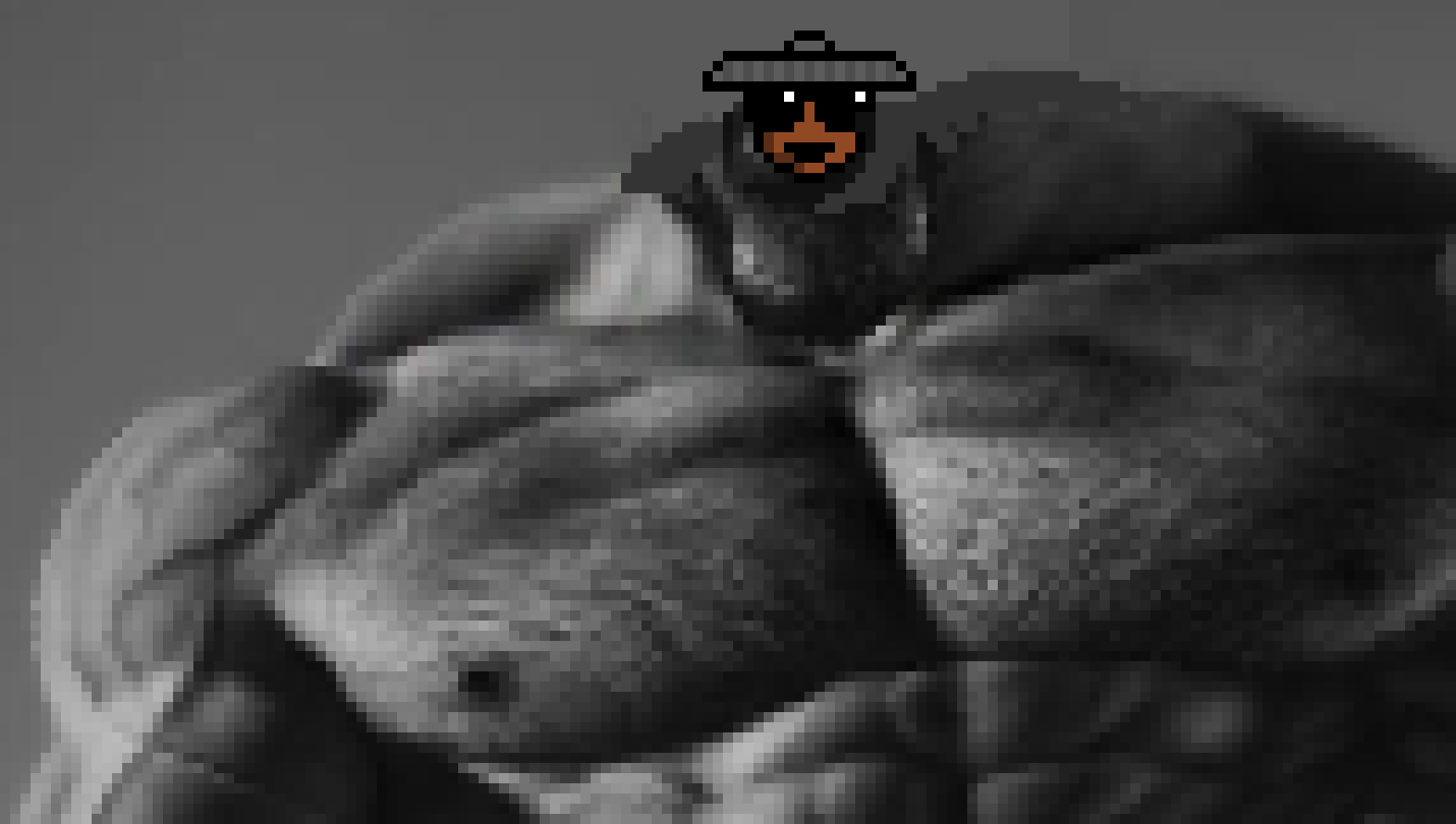 [ad439c] just try it pal