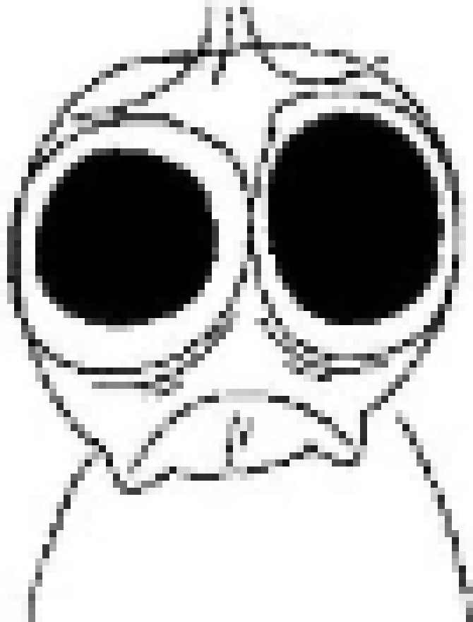 [816c09] THAT'S WHAT I WAS TRYING TO DO YESTERDAY *Explodes*