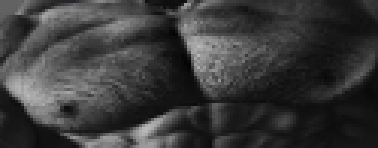 [ad439c] *vine boom again*