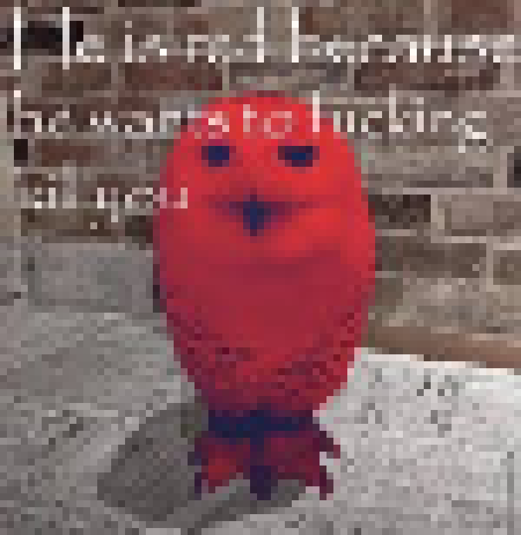 [f5254f] I've just like. had it. He is red because he wants to fucking kill you.