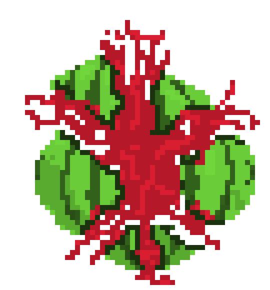 [54c4ef] watermelon 5