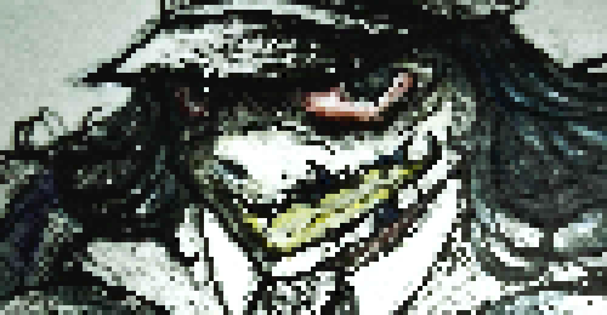 [aac707] AHHHH MY POOKIEEEE        . . . . . . . . . . . -[[Холлетт]]updated