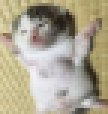 [4955e4] also if you dont want something in rp to happen, just ask twins out of rp for it to not happen, i think all of us are understanding people and would work with it