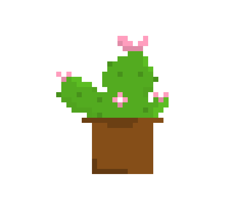 [9664c4] Cactus