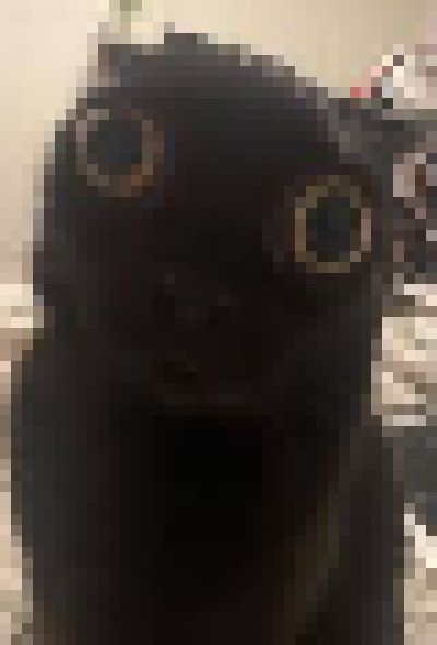 [35dc76] dunno where the bandaids are, washed the cut and wrapped a paper towel around it