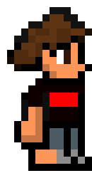 [9664c4] KL Terraria