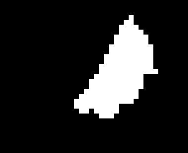 [9664c4] white dog tail