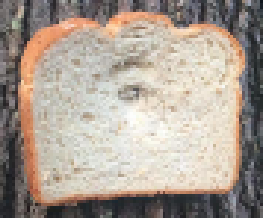 [990543] Nobody can stop me (Theme: https://tinyurl.com/4wrt9e44 )