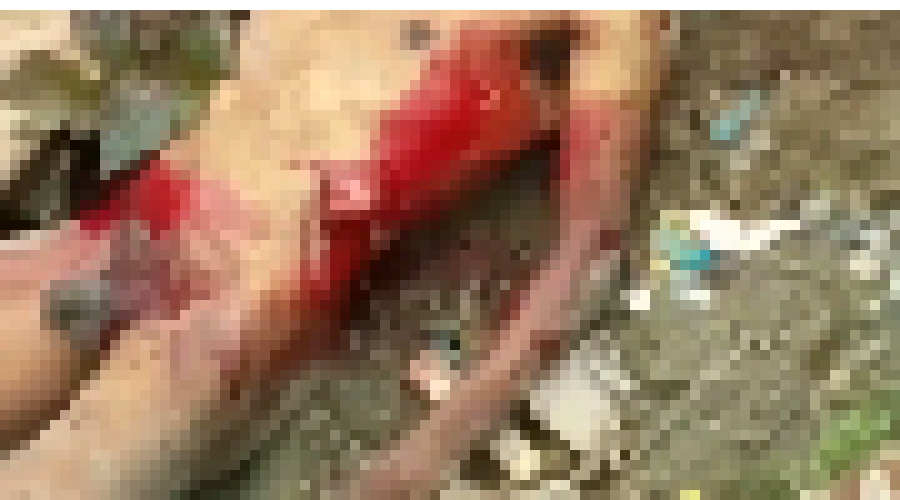 [4a11cf] Dumb shit failed on me