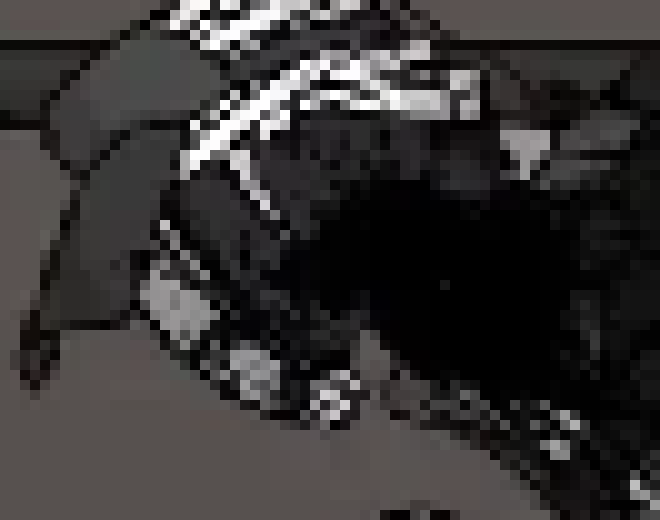 [082edb] you know? I actually forgot about phant LOLL