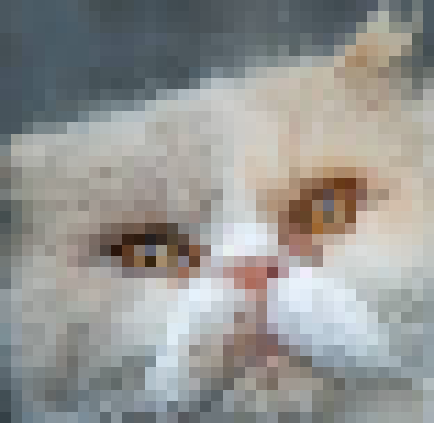 [1f86ca] how about now?