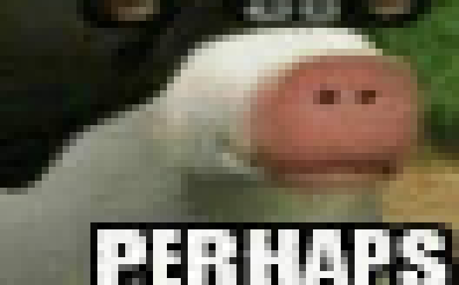 [0f5524] Hello, Elizabeth. Give me your kneecaps.