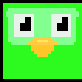 [2205a9] Duolingo Bird (Attempt #1)