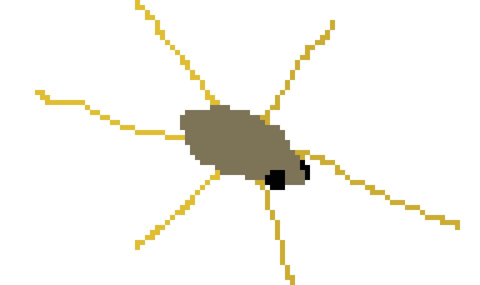 [e764fd] Water Strider