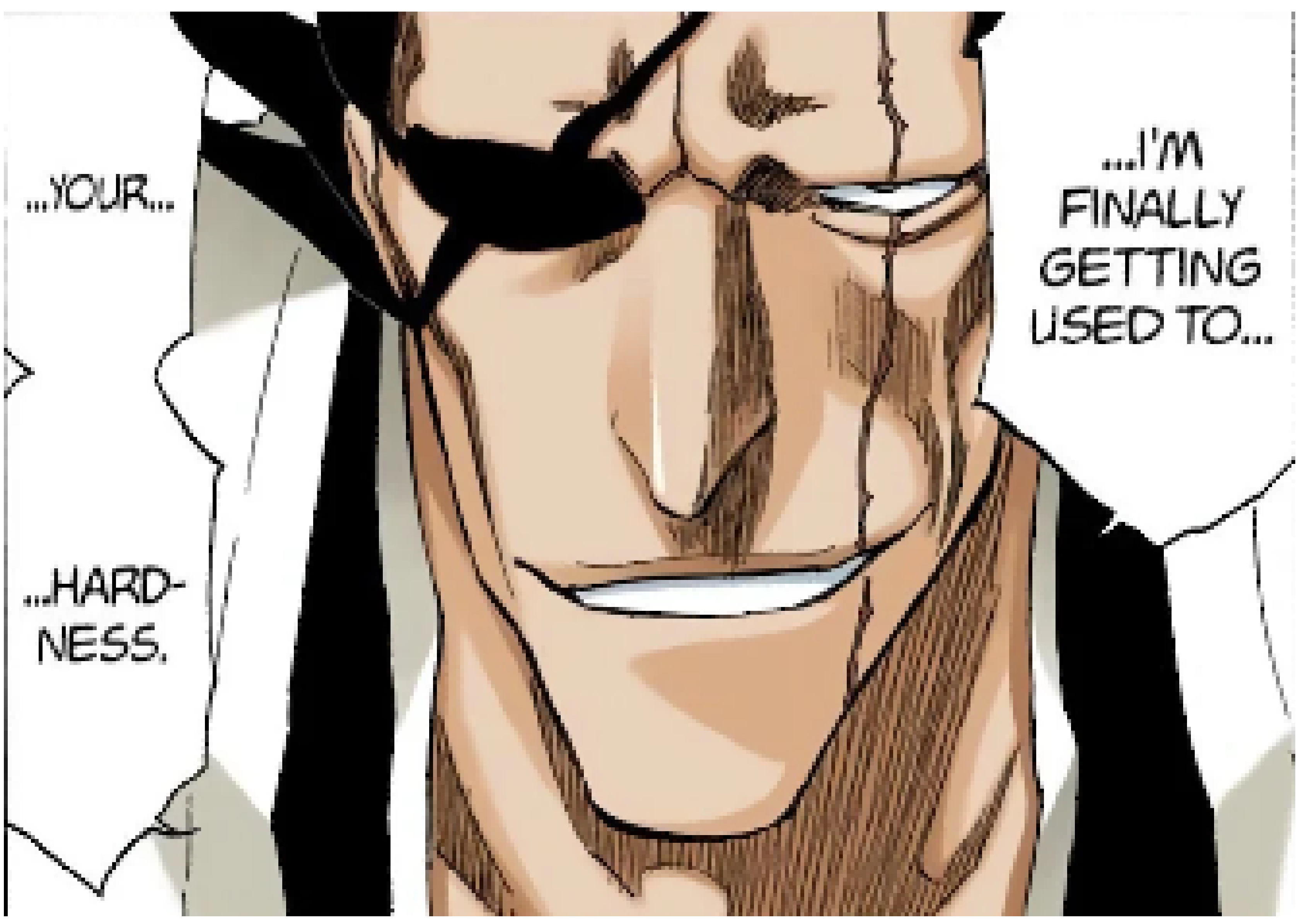 [14e409] [big import] Reading Bleach is fun because why did Kenpachi say that
