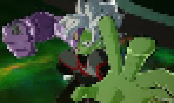 [1cf99b] [nokie audio quality] Pephis.,.,.THIS SHIT IS GAS