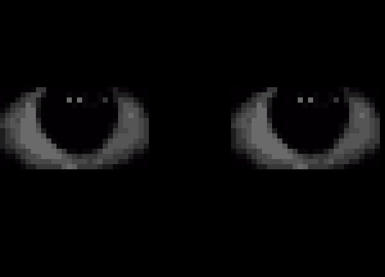 [224a35] what happend where is everyone?