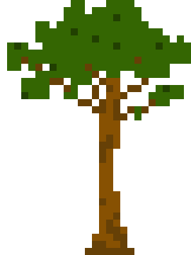 [db1555] Rubber Tree