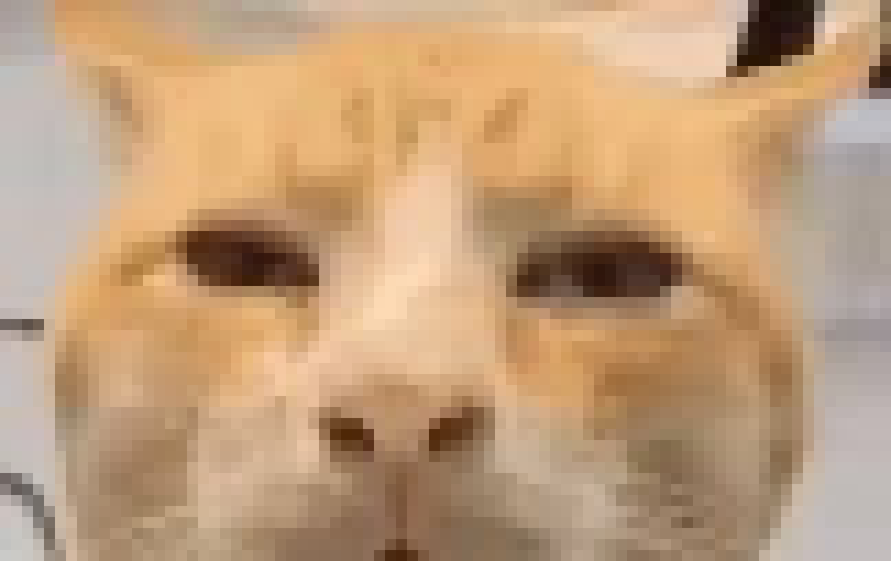 [35dc76] i was in the shower for like 30 minutes then for the rest of the 1 hour and 30 minutes it was pure suffering