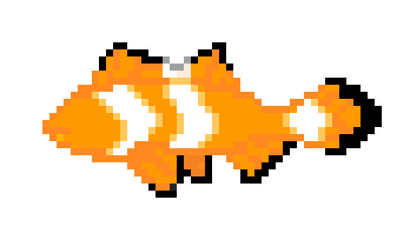 [9664c4] clown_fish