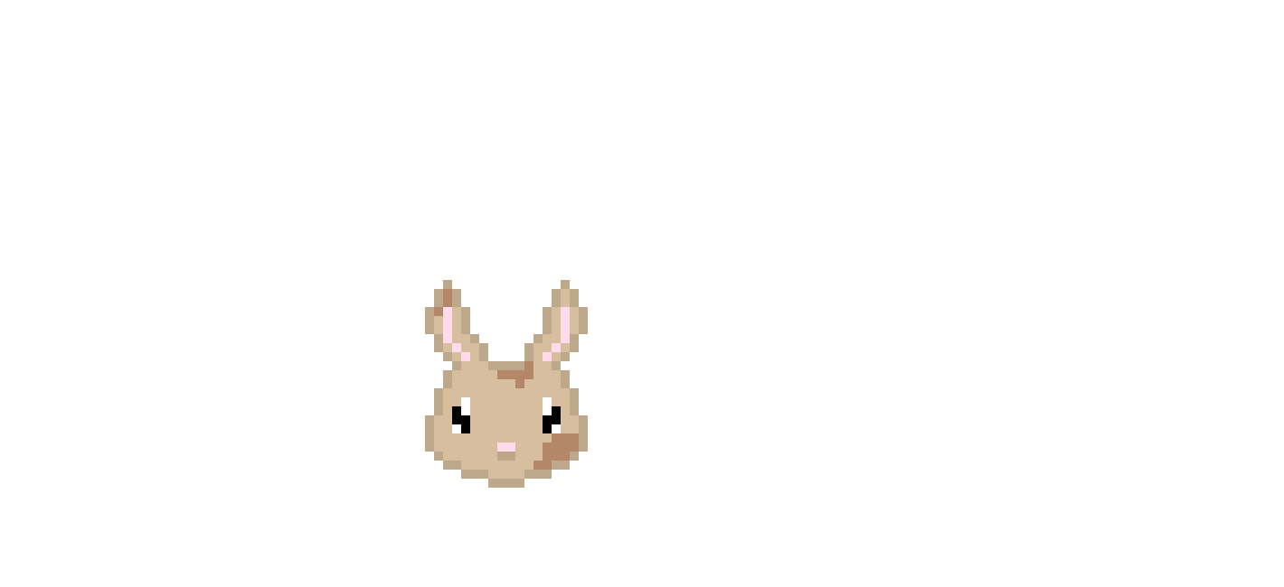 [9664c4] Brown Bunny