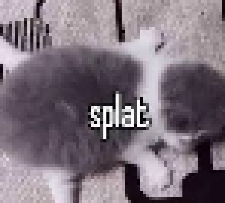 [35dc76] *still snoring*