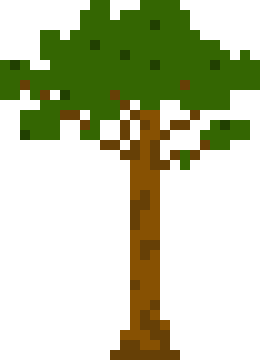 [db1555] Rubber Tree