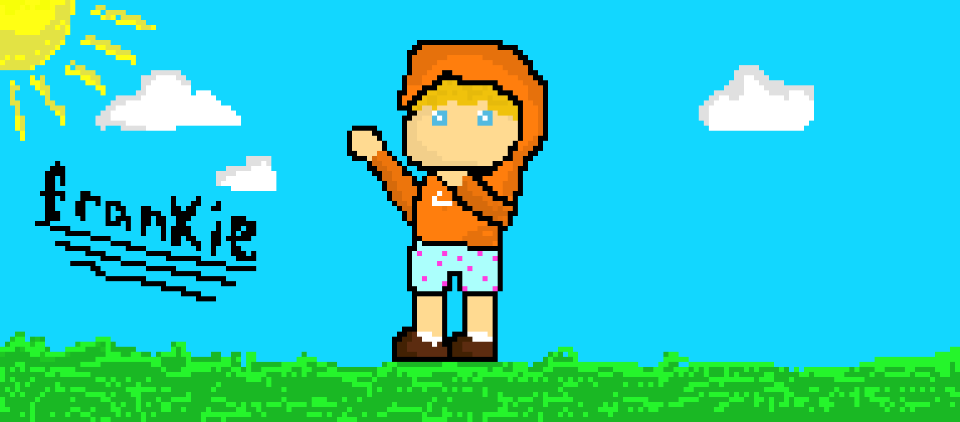 [e84334] Pixel Frankie FINISH