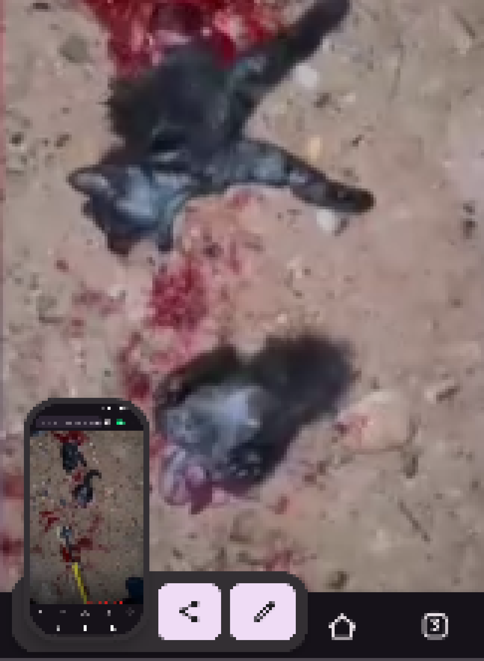 [c5cd46] Daily dose, enjoy!