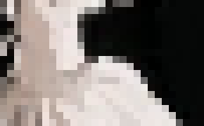 [794a35] borzoi and a hydron collider gg