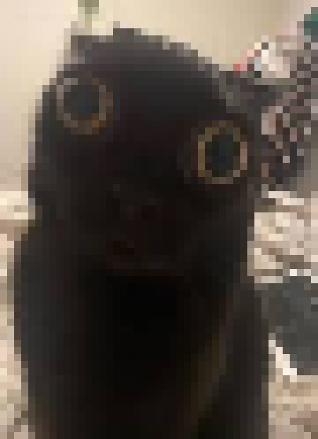 [35dc76] sadly i have a sore throat so that almost completely counteracts it