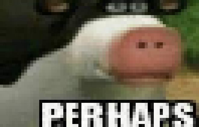 [fcc22b] Teacher: "Are you a retarded memer?" Me: