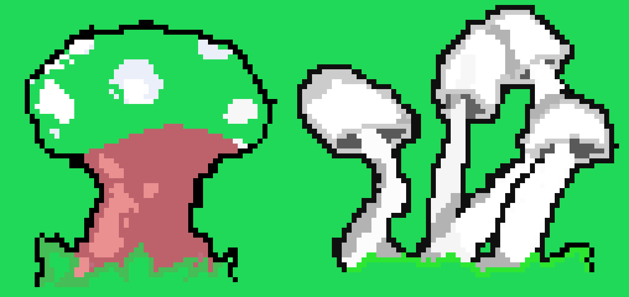 [26466a] just some mushrooms