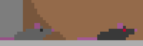 [a2471d] We prey at night, we stalk at night. We're the rats.