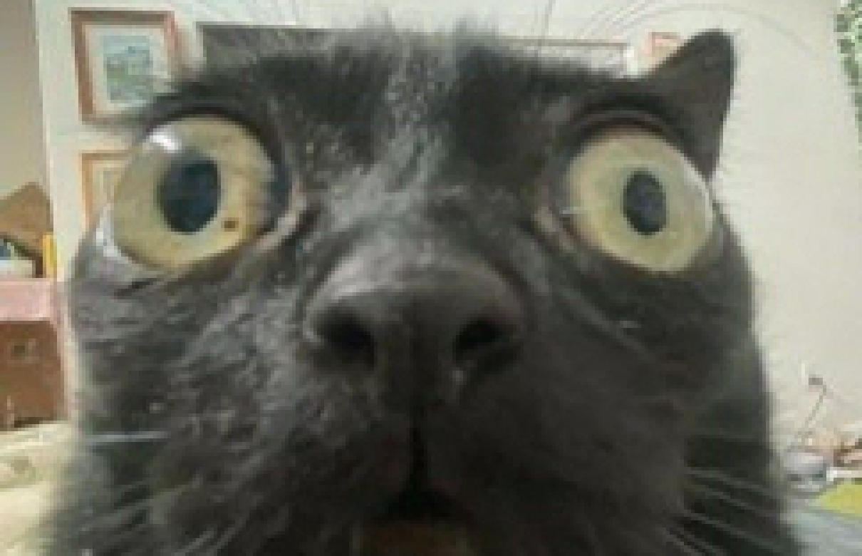 [a56108] What the flip-