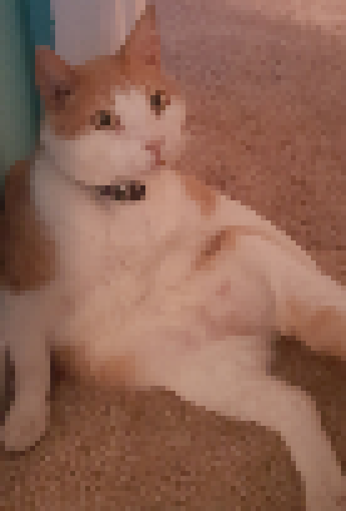 [6cf85f] GeOrGiE - oreo