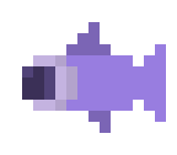 [a00846] Wide eyed wanderer