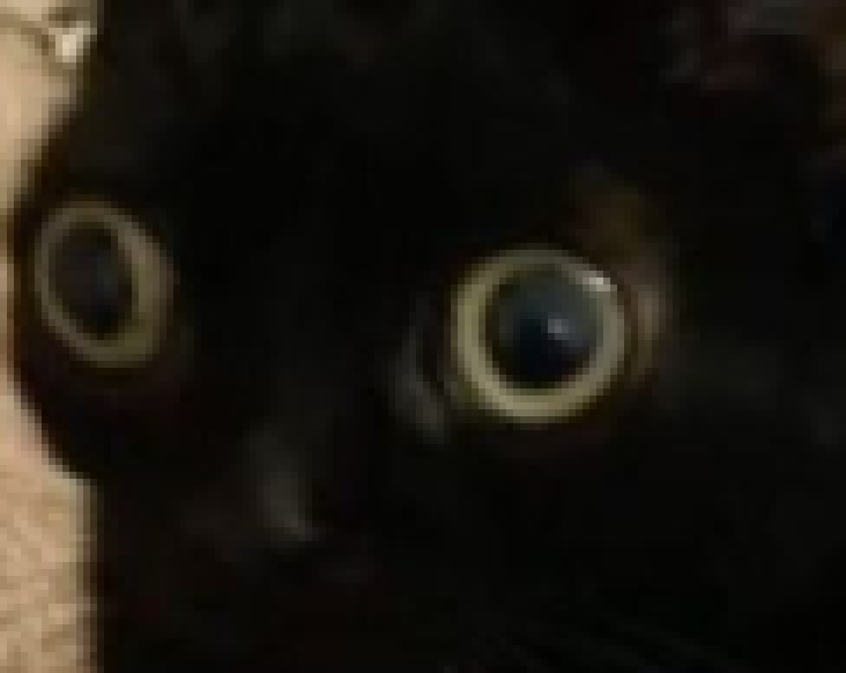 [a56108] (*Buffering* . . . OHhhhhh-) I get it