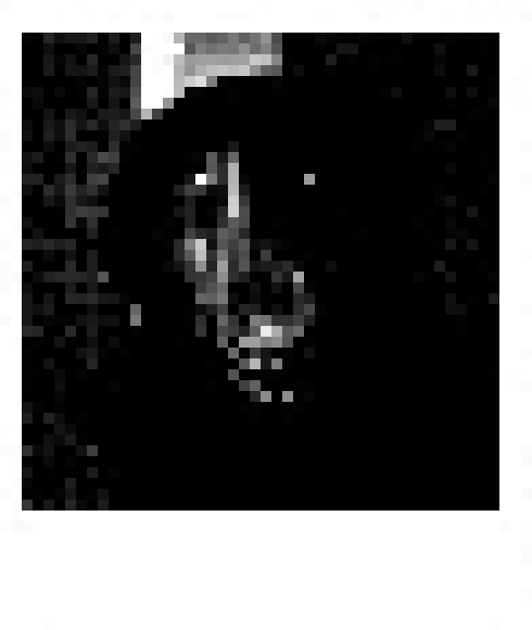 [c95776] they. Them. They're killing me.