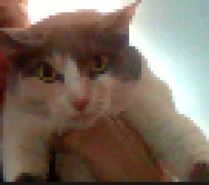 [5fd880] meow